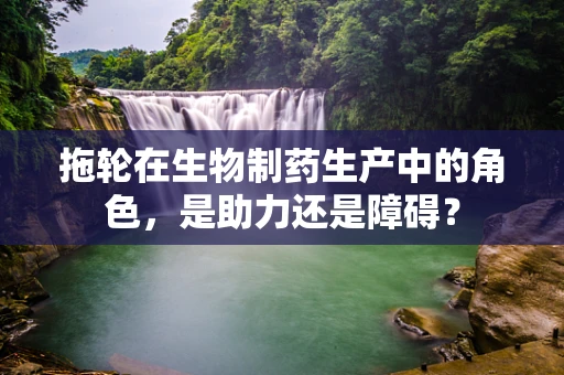 拖轮在生物制药生产中的角色，是助力还是障碍？