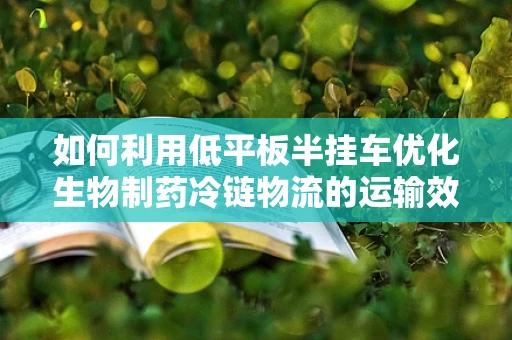 如何利用低平板半挂车优化生物制药冷链物流的运输效率？