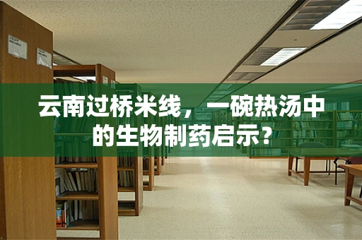 云南过桥米线，一碗热汤中的生物制药启示？