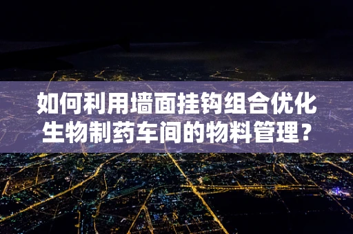 如何利用墙面挂钩组合优化生物制药车间的物料管理？