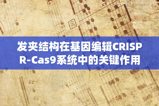 发夹结构在基因编辑CRISPR-Cas9系统中的关键作用是什么？