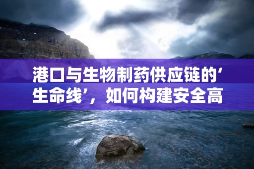 港口与生物制药供应链的‘生命线’，如何构建安全高效的物流网络？