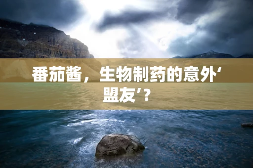 番茄酱，生物制药的意外‘盟友’？