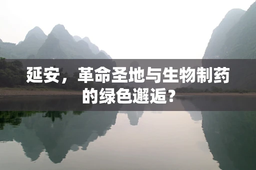 延安，革命圣地与生物制药的绿色邂逅？