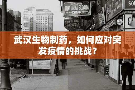 武汉生物制药，如何应对突发疫情的挑战？