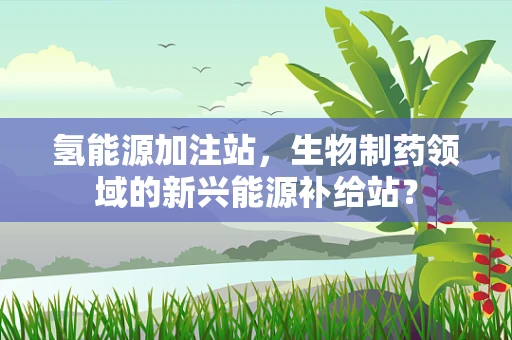 氢能源加注站，生物制药领域的新兴能源补给站？