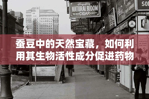 蚕豆中的天然宝藏，如何利用其生物活性成分促进药物研发？