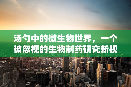 汤勺中的微生物世界，一个被忽视的生物制药研究新视角？