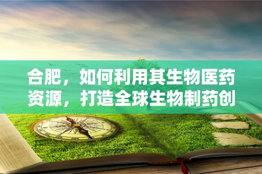 合肥，如何利用其生物医药资源，打造全球生物制药创新高地？