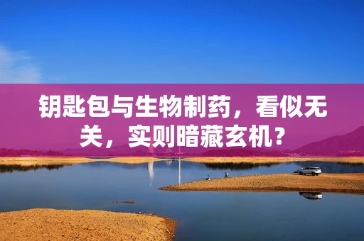 钥匙包与生物制药，看似无关，实则暗藏玄机？