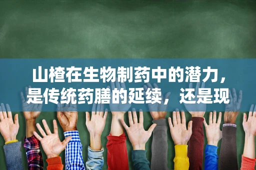 山楂在生物制药中的潜力，是传统药膳的延续，还是现代医学的新篇章？